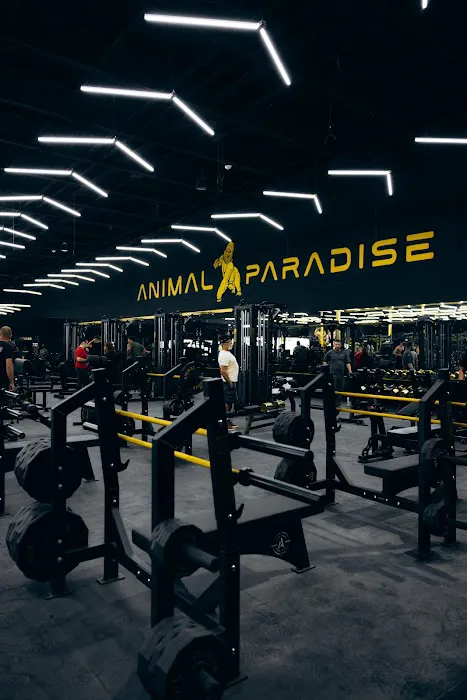Animal Paradise Gyms | Modern Bodybuilding & Fitness Facility Picture 1