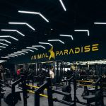 Animal Paradise Gyms | Modern Bodybuilding & Fitness Facility