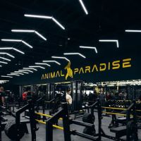 Animal Paradise Gyms | Modern Bodybuilding & Fitness Facility ico