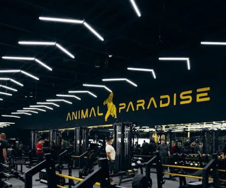 Animal Paradise Gyms | Modern Bodybuilding & Fitness Facility