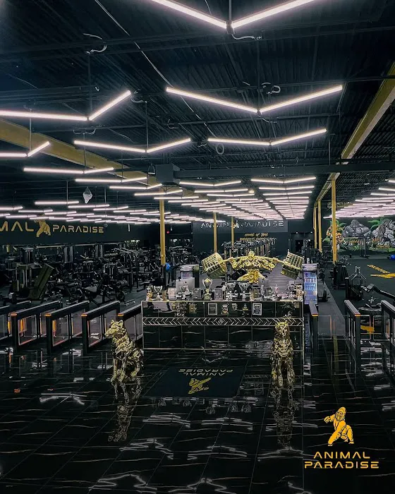 Animal Paradise Gyms | Modern Bodybuilding & Fitness Facility Picture 2