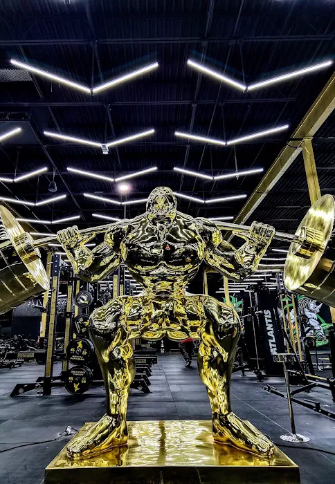 Animal Paradise Gyms | Modern Bodybuilding & Fitness Facility Picture 8