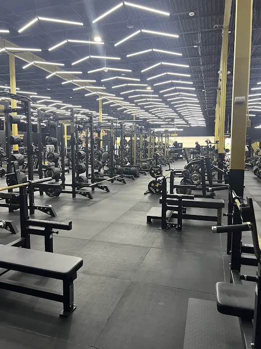 Animal Paradise Gyms | Modern Bodybuilding & Fitness Facility Picture 4