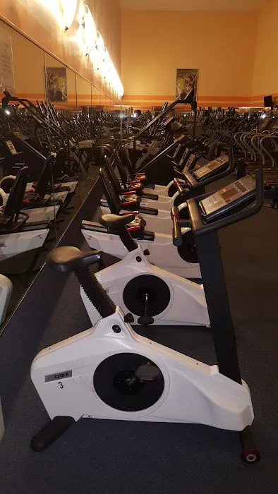 Vineland Optimal Gym Picture 4