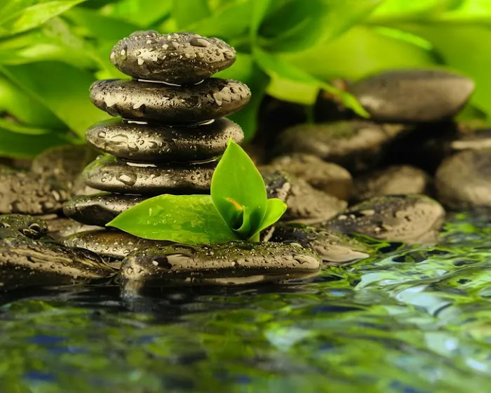 The Balance Center for Natural Health Picture 2