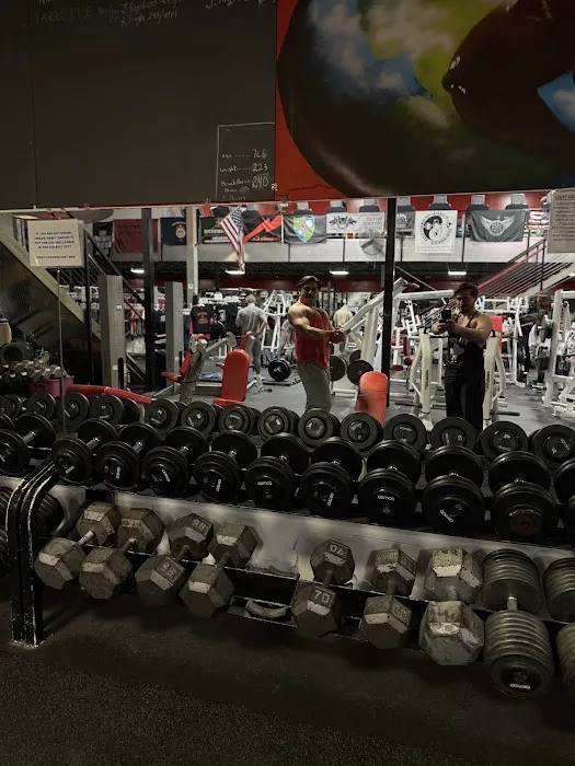 Atilis Gym Bellmawr Picture 8