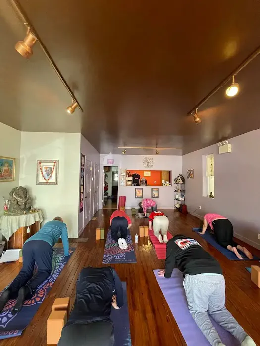Live in Joy Yoga & Wellness Picture 8