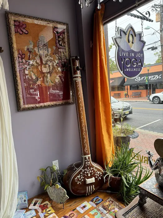 Live in Joy Yoga & Wellness Picture 7