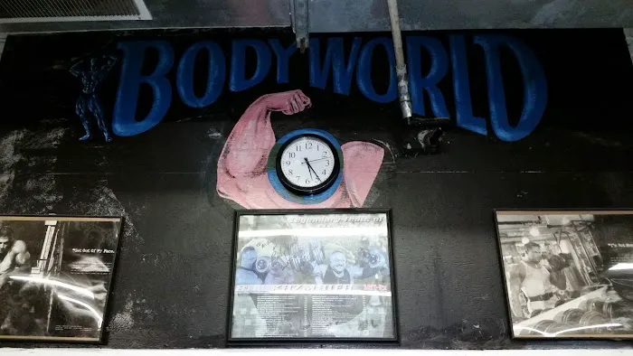 Body World Fitness Picture 9