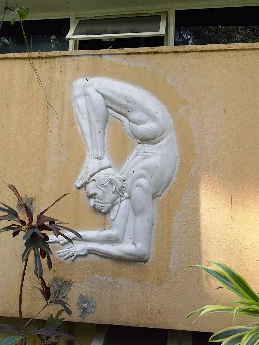 The Yoga Loft Collingswood Picture 7