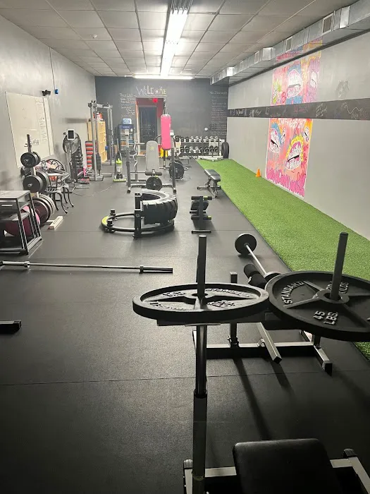 Fit Space 24/7 Strength and Functional Training Picture 1