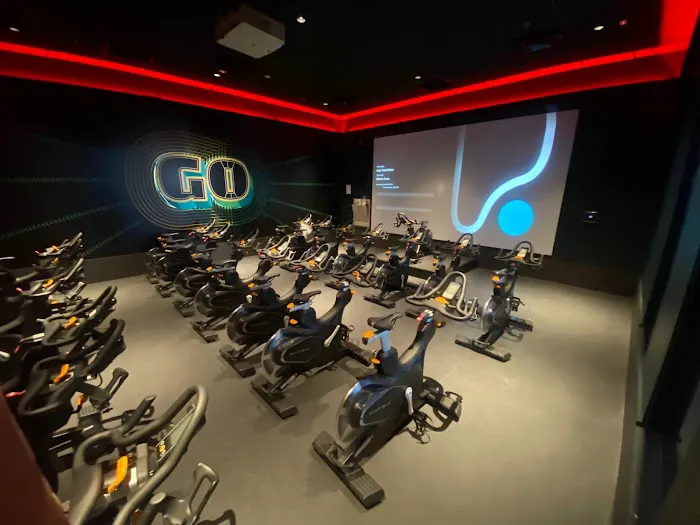 Pure Fitness Tysons Corner Picture 8