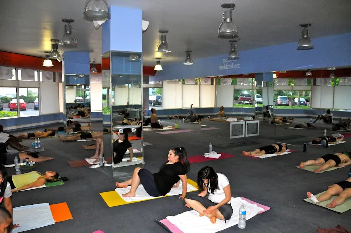 Hot Yoga Tysons Picture 9