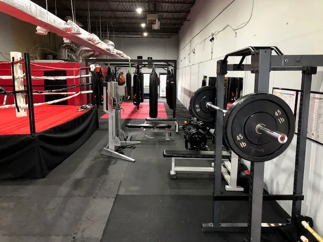 Tysons City Boxing Picture 3