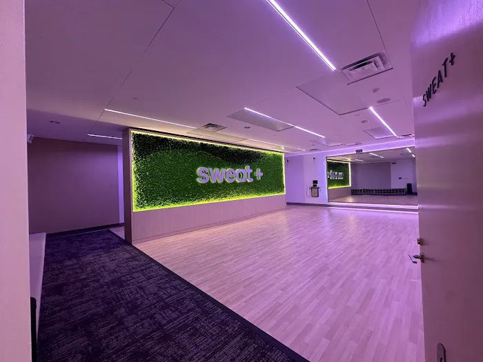 Club Studio Picture 4