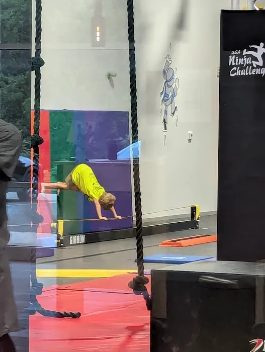 USA Ninja Challenge Picture 2