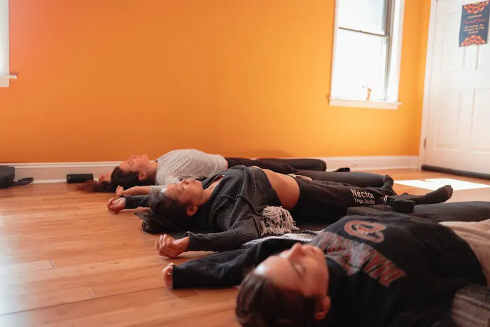 Nectar Yoga Audubon Picture 6