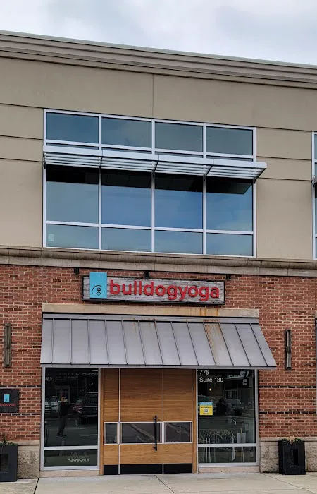 Bulldog Yoga Picture 3
