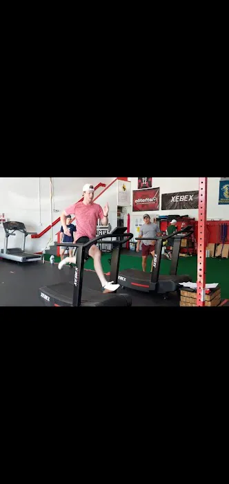 Function and Strength Picture 7