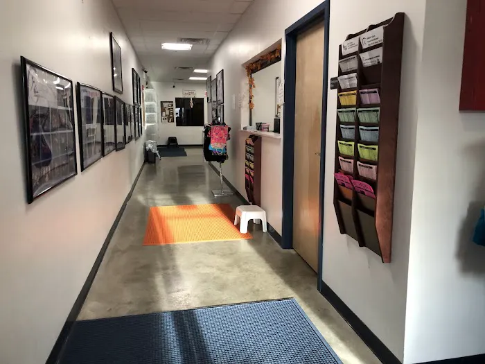 Upper Merion Dance & Gymnastics Center LLC Picture 4