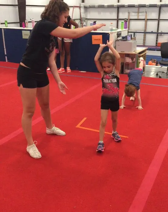 Upper Merion Dance & Gymnastics Center LLC Picture 5