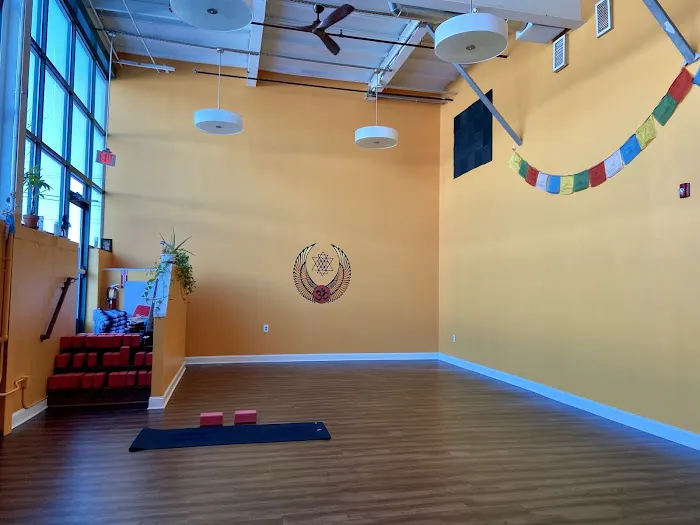 Nectar Yoga Studio Picture 9