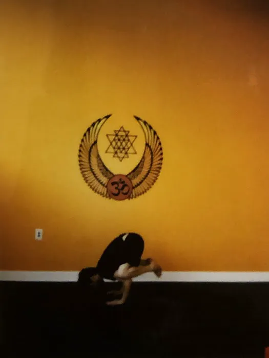 Nectar Yoga Studio Picture 7