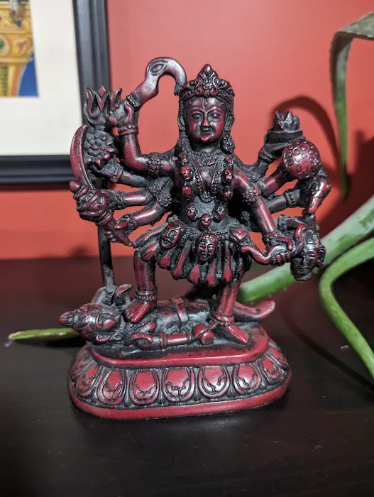 Nectar Yoga Studio Picture 8