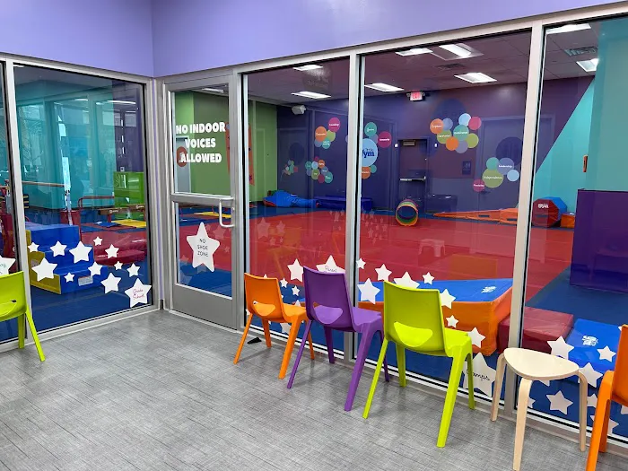 The Little Gym of Ardmore Picture 5