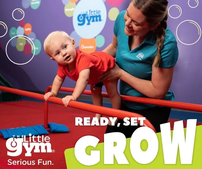 The Little Gym of Ardmore Picture 8