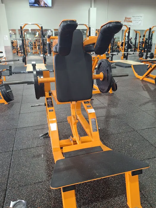 Giant Fitness Picture 10