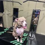 Beginners & Beyond Group Fitness