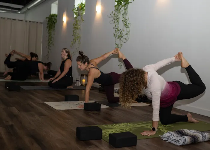 OHMGrown Yoga Picture 7