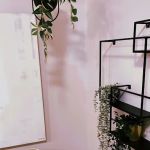 HPY Philly - Hot Power Yoga & Pilates