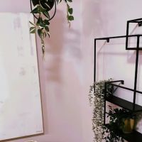 HPY Philly - Hot Power Yoga & Pilates ico