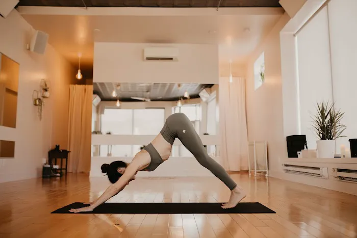 HPY Philly - Hot Power Yoga & Pilates Picture 9