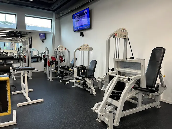 Fit Gym Picture 4
