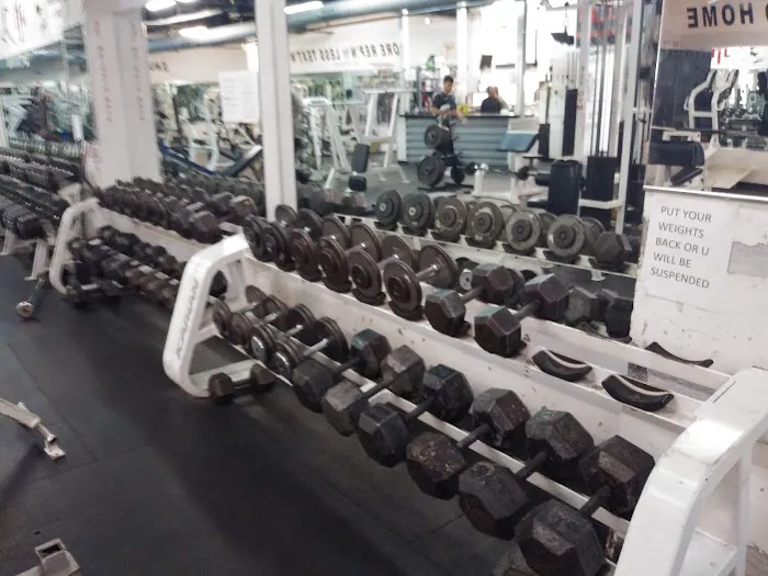 Fit Gym Picture 7