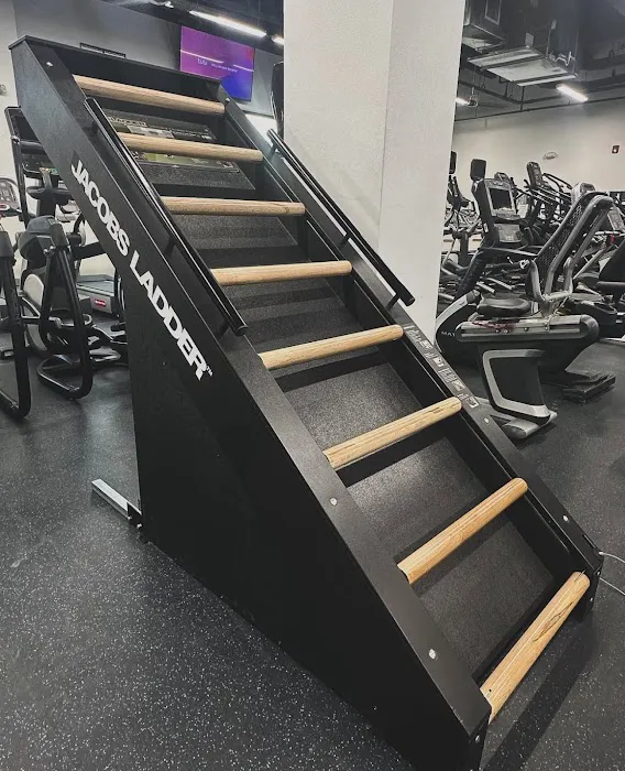 Fit Gym Picture 9