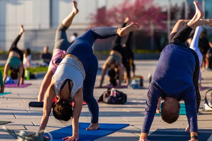 Tuck Barre & Yoga Picture 8