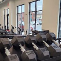 Warhorse Barbell Club South ico
