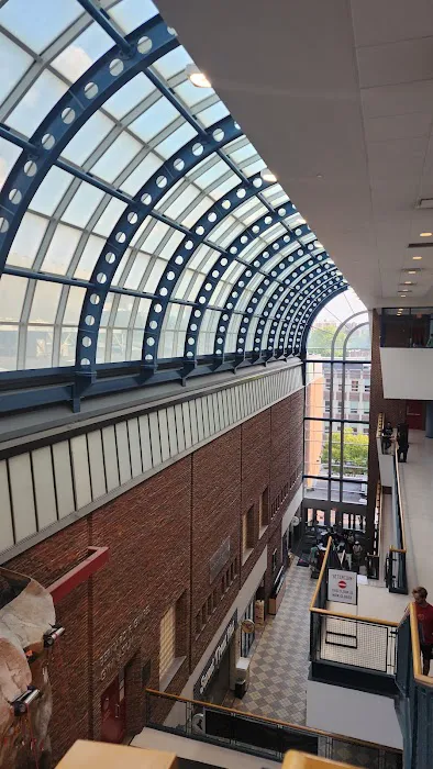 Penn Campus Recreation Picture 6