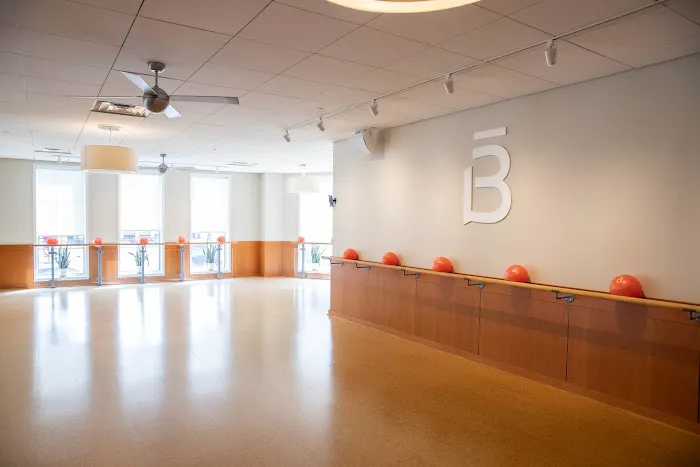 barre3 Picture 4