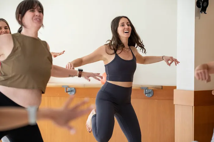 barre3 Picture 9