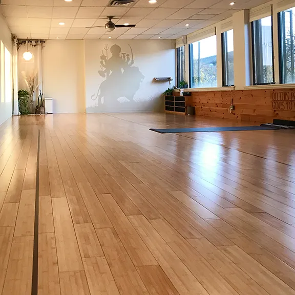 The Yoga Garden Picture 8