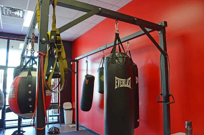 Man of War Boxing and Fitness Academy Picture 3