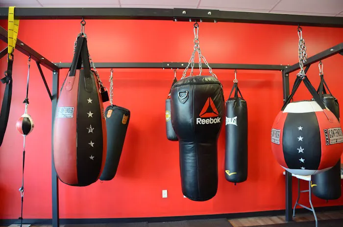 Man of War Boxing and Fitness Academy Picture 4