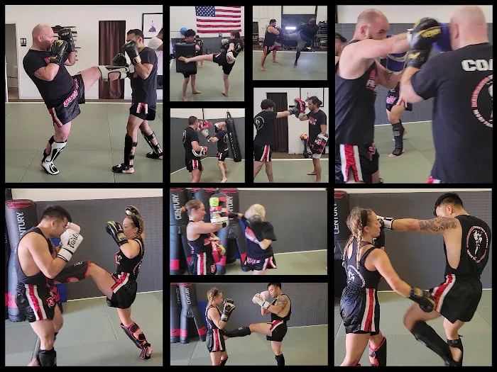 Beltrante Fighting Systems Picture 10