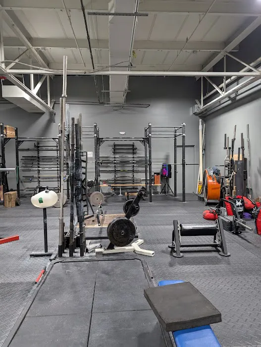 The Gym & CrossFit Alcides Picture 1