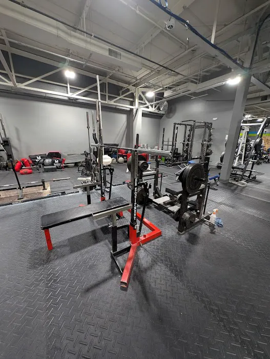 The Gym & CrossFit Alcides Picture 5